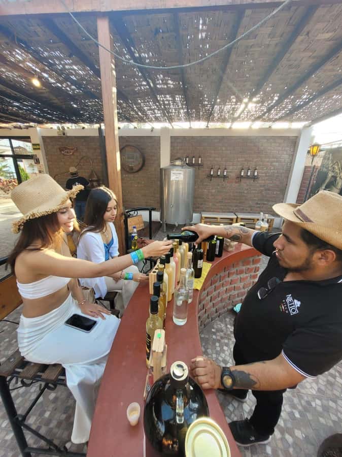 ICA: Pisco and Wine Route with tasting in 03 Wineries - Vineyard scenery and the second winery