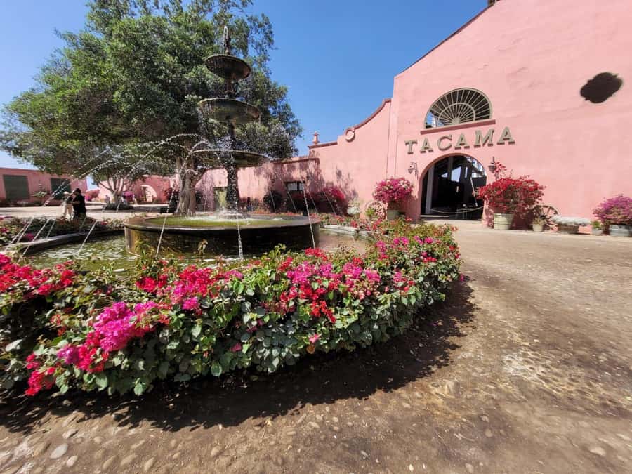ICA: Pisco and Wine Route with tasting in 03 Wineries - What the $29 price really covers