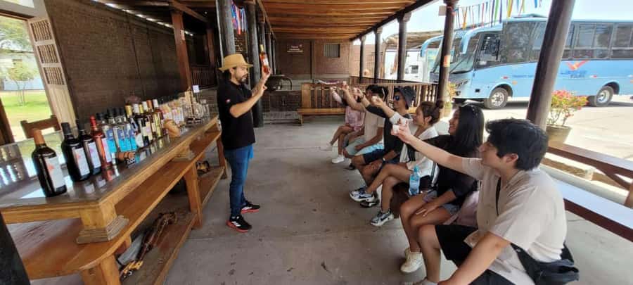 ICA: Pisco and Wine Route with tasting in 03 Wineries - Alejandro’s guiding and the small-group format