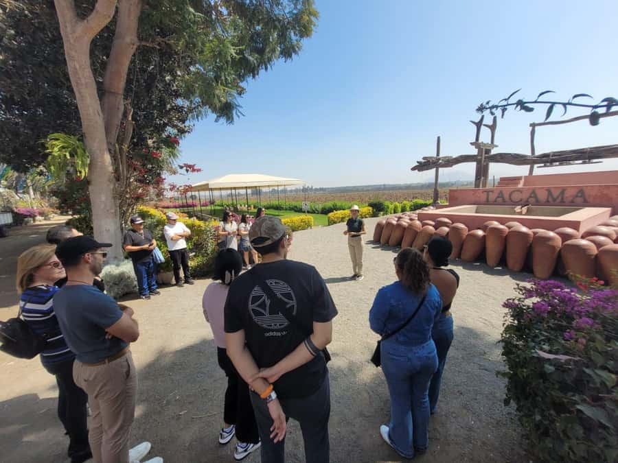 ICA: Pisco and Wine Route with tasting in 03 Wineries - Who will enjoy this Ica wine tour?