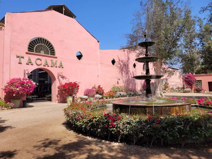 ICA: Pisco and Wine Route with tasting in 03 Wineries - Starting from Ica or Huacachina