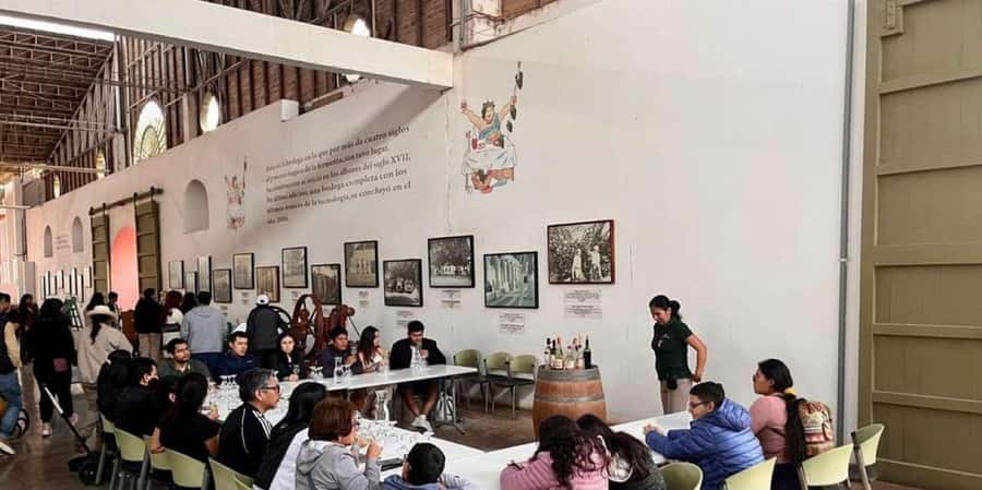 Ica: Tacama Winery and Pisco Tasting Tour with Hotel Pickup - From desert to vineyard in the Ica oasis