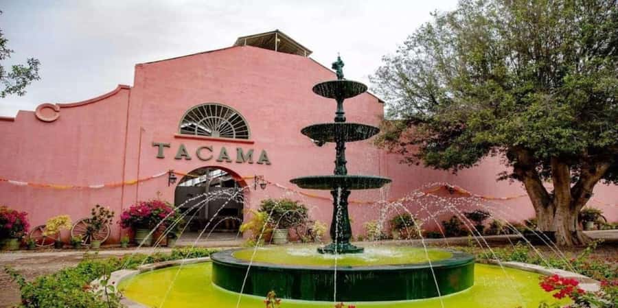 Ica: Tacama Winery and Pisco Tasting Tour with Hotel Pickup - Lazo Winery’s cava and unusual museum collection