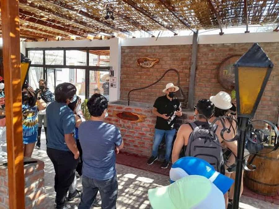 Ica: Tacama Winery and Pisco Tasting Tour with Hotel Pickup - El Catador and the handmade side of Pisco
