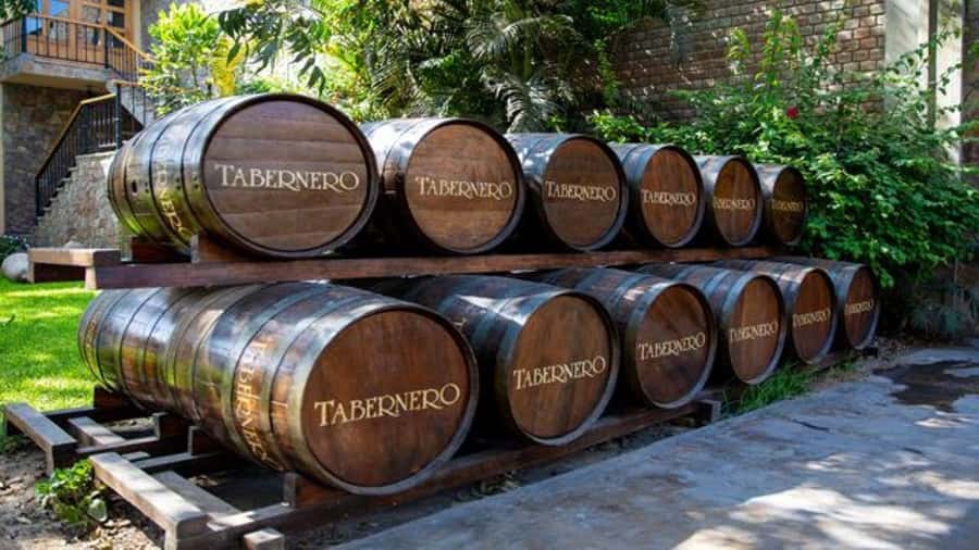 Ica: Winery Tour with Pisco and Wine Tasting - Key points at a glance
