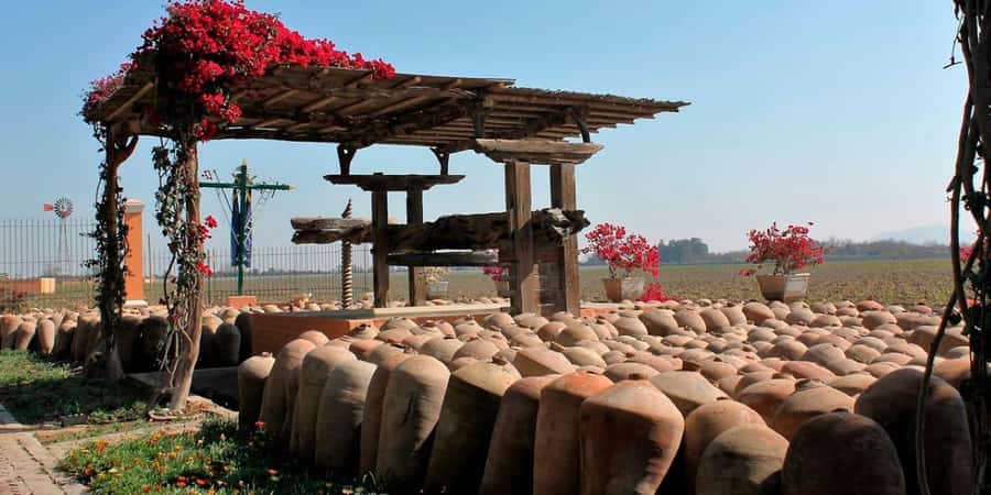 Ica: Winery Tour with Pisco and Wine Tasting - Why Pisco makes Ica worth visiting