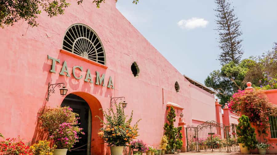 Ica: Winery Tour with Pisco and Wine Tasting - What the $19 price really covers