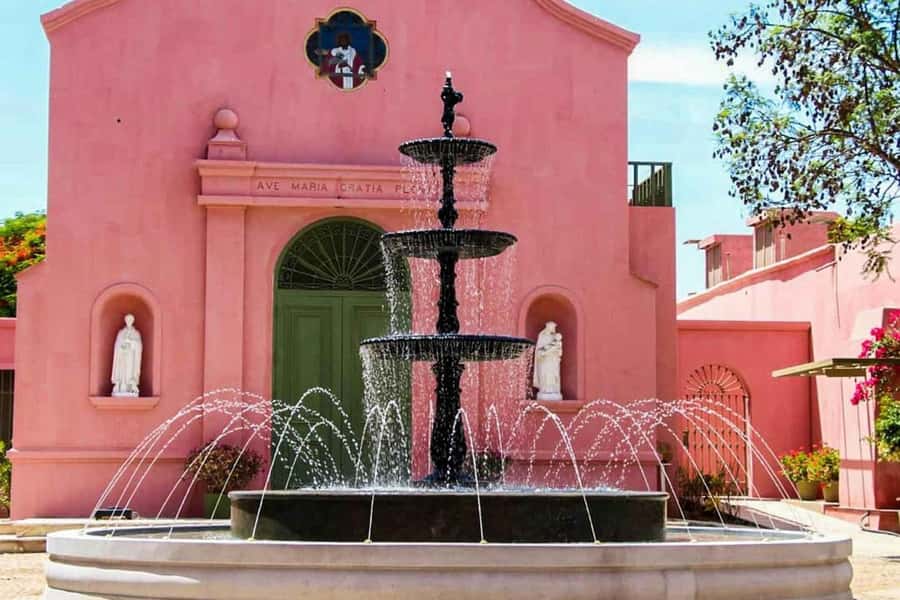 Ica: Winery Tour with Pisco and Wine Tasting - Who will enjoy this Ica winery tour