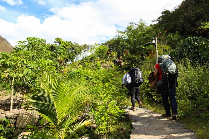 Inca Jungle Premium to Machu Picchu 4-Day and 3-Nights - Reaching Machu Picchu before the day heats up