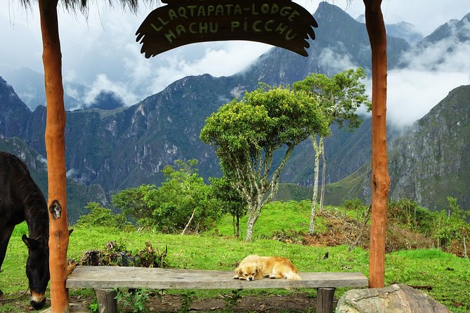Inca Jungle Premium to Machu Picchu 4-Day and 3-Nights - Four hours through the Inca jungle