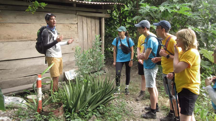 Inca Jungle Trail to Machu Picchu in 4 Days - Key Points to Know Before You Go