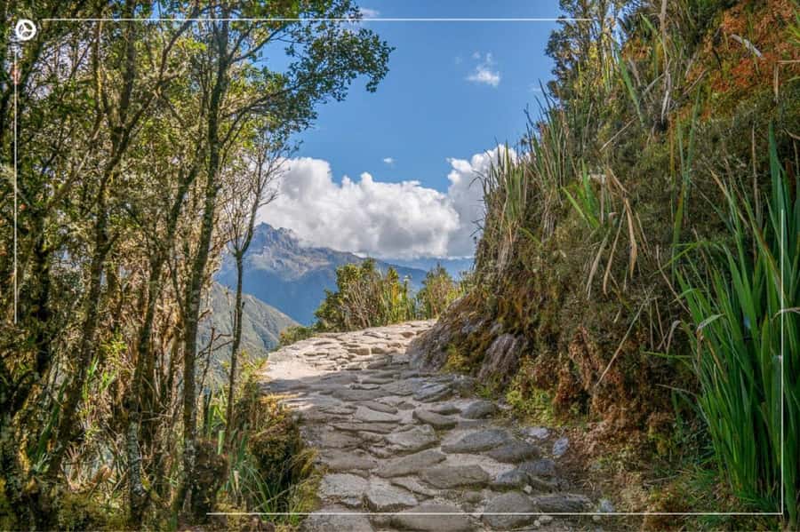 Inca Trail 2 days to Machu Picchu - Key points to know before booking