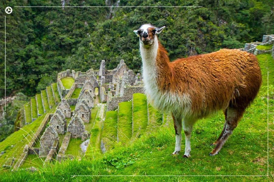 Inca Trail 2 days to Machu Picchu - Day one: train to Kilometer 104 and Chachabamba