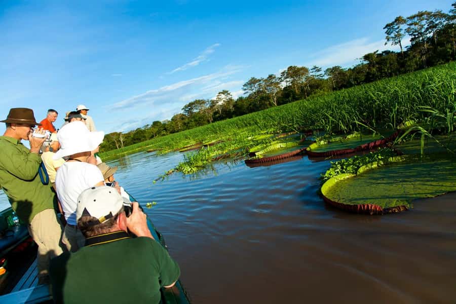 Iquitos: 2 Days and 1 Night Guided Amazon Jungle Tour - The free animal reserve and close-up encounters