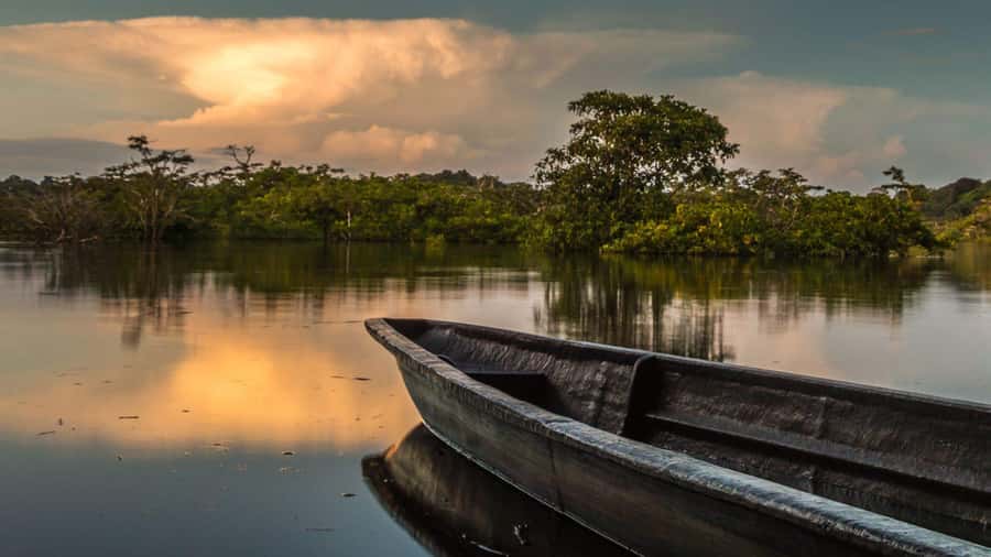 Iquitos: 2 Days and 1 Night Guided Amazon Jungle Tour - The 4:30 AM bird walk