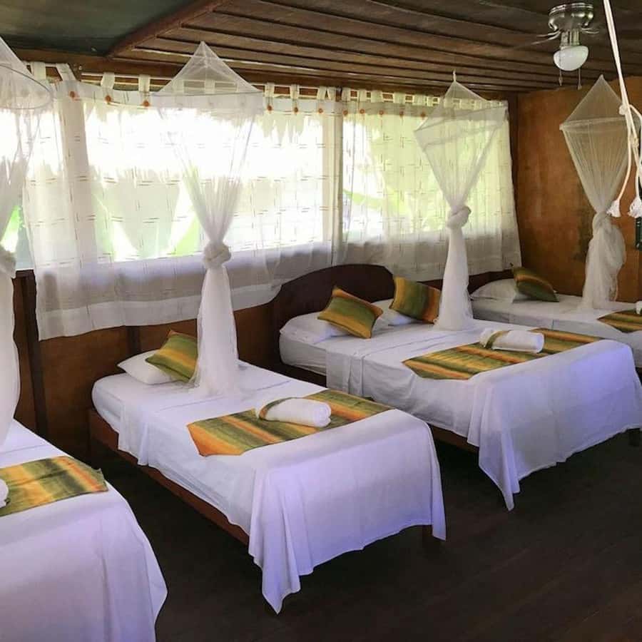 Iquitos: 2 Days and 1 Night Guided Amazon Jungle Tour - Meeting the Yagua community