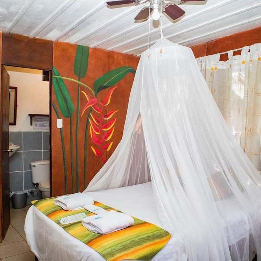Iquitos: 3 Days and 2 Nights Guided Amazon Jungle Tour - Guides, Group Size, and Communication