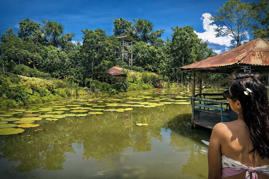 Iquitos: 6-Hour Wonderful Wildlife Guided Tour - What $96 buys you in Iquitos
