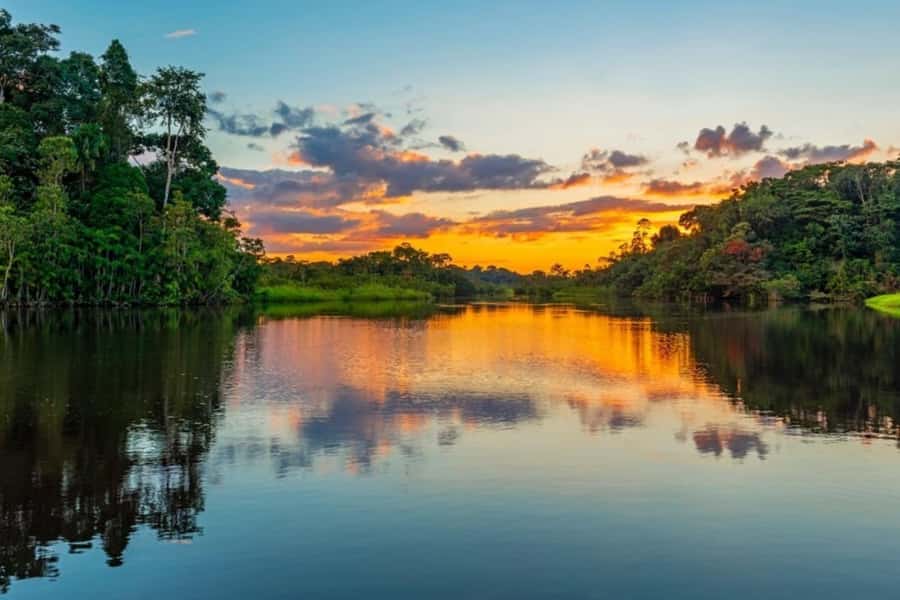 Iquitos: Amazon Jungle in 2 Days: Adventure and Expedition - A botanical walk with useful context