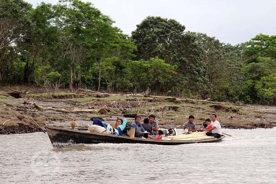 Iquitos: Amazon Jungle in 3 Days: Adventure and Culture - Butterflies, village life, and the first night outing