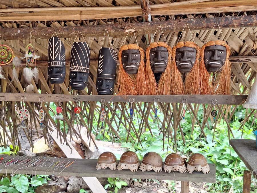 Iquitos: Amazon River Tribes Full-Day Tour with Lunch - Entering the Momón River