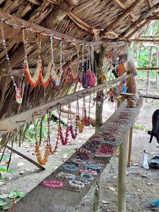 Iquitos: Amazon River Tribes Full-Day Tour with Lunch - Who will enjoy this Amazon day trip?