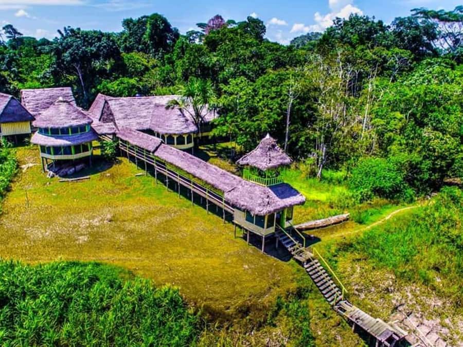 Iquitos : Full Day Excursion to Monkey Island - Fundo Pedrito and the first wildlife sightings