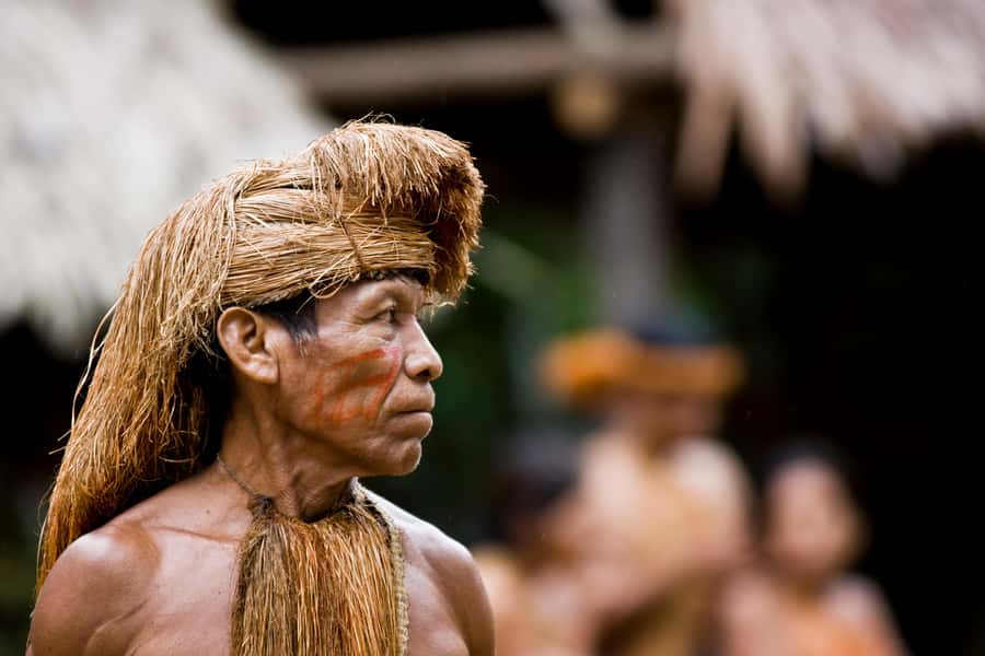 Iquitos: Full Day Tour in the Jungle | Amazon Safari - The Fundo Rony rescue center