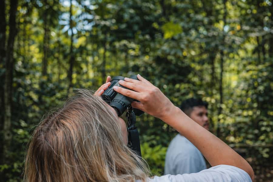 Iquitos to the Amazon: 2-Day Jungle & Wildlife Experience - Sunset, dinner, and the night forest