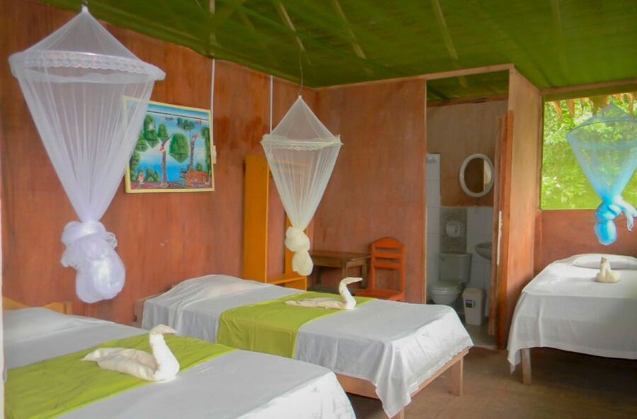 Iquitos to the Amazon: 2-Day Jungle & Wildlife Experience - Sunrise birdwatching on the second morning