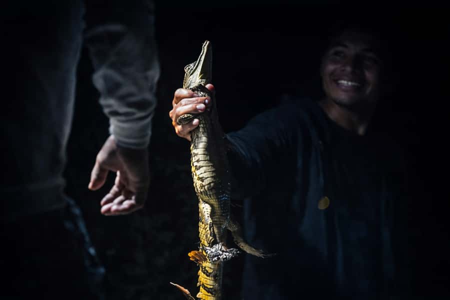 Iquitos to the Amazon: 2-Day Jungle & Wildlife Experience - What the $480 price includes