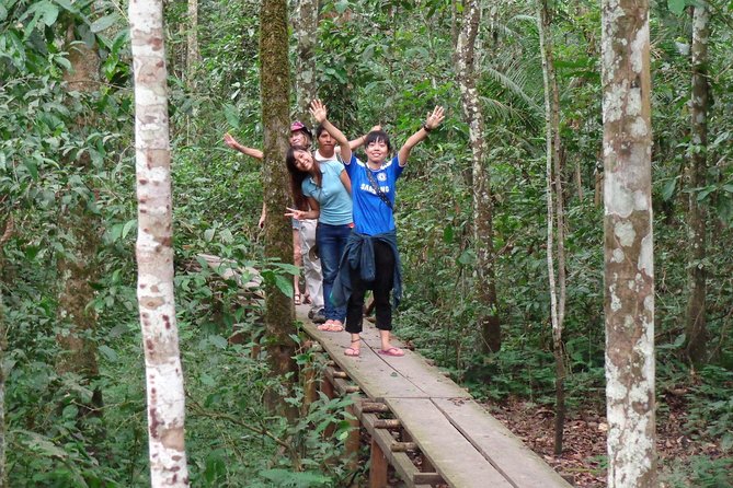 Jungle Eco Jungle And Adventure - 4 Days / 3 Nights - What the lodge is really like