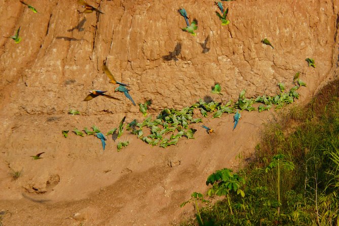 Jungle Eco Jungle And Adventure - 4 Days / 3 Nights - The guides are central to the experience