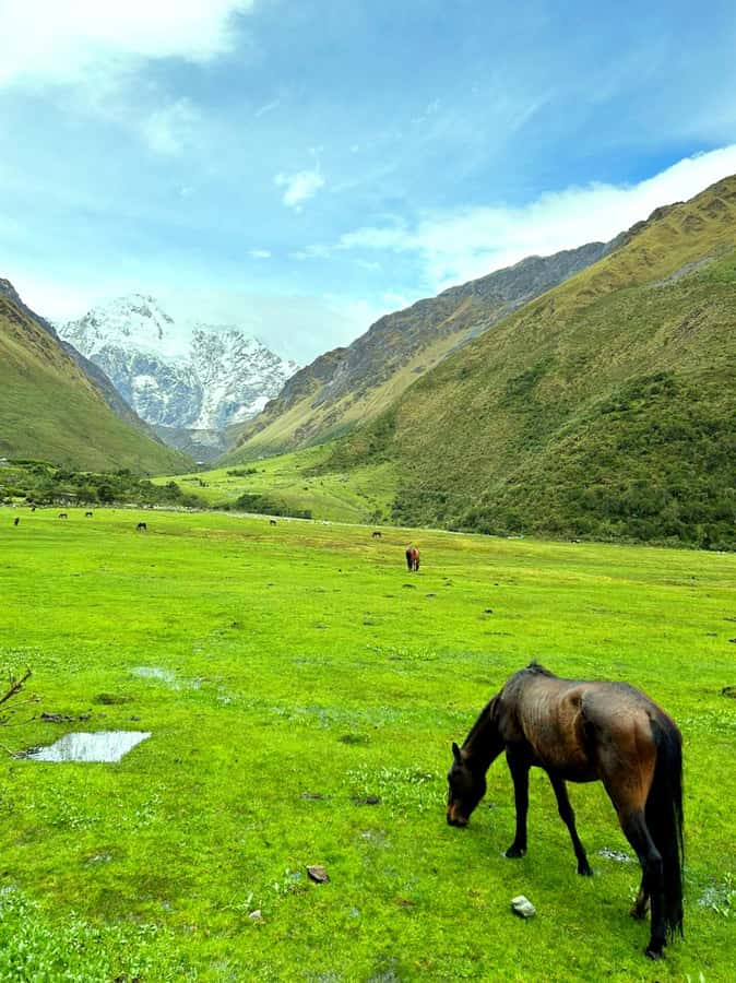 Lagoon Humantay. Full Day Tour with Breakfast and Lunch - The 4:30 a.m. pickup from central Cusco