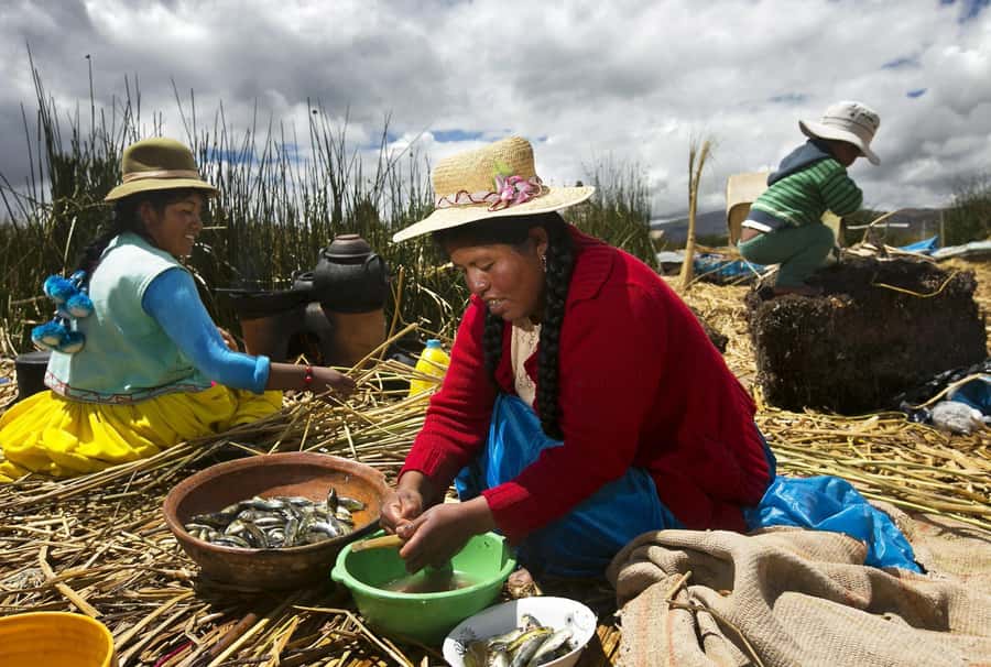 Lake Titicaca, Uros and Taquile Full-Day Tour - Why this Lake Titicaca day trip is worth your time