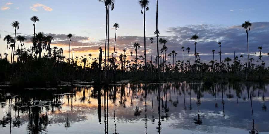 Lake Yacumama - Sunrise or Sunset - The 20-minute ride from Puerto Maldonado