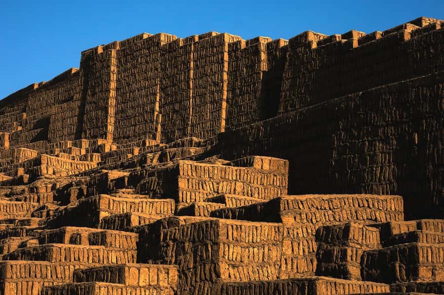 Lima: 7-Day Inca Tour with Flights and Machu Picchu - Day 2: Sea lions, Pisco, and Huacachina dunes