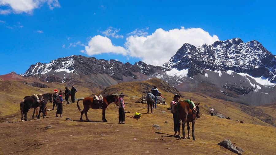 Lima: 7-Day Inca Tour with Flights and Machu Picchu - Day 1: Lima’s pyramid and Plaza Mayor