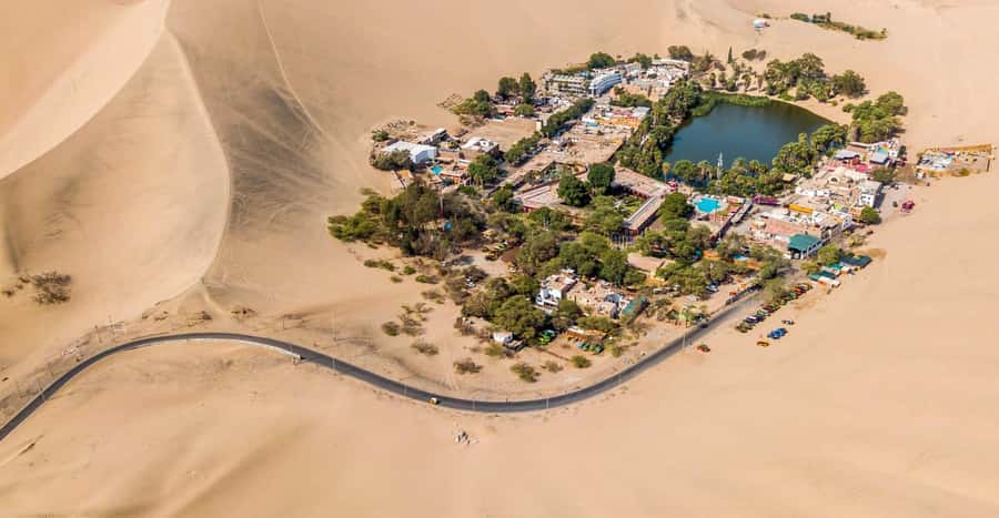 Lima: Ballestas & Huacachina Day Trip w/ Nazca Lines Flight - The Nazca Lines flight over the Palpa Desert