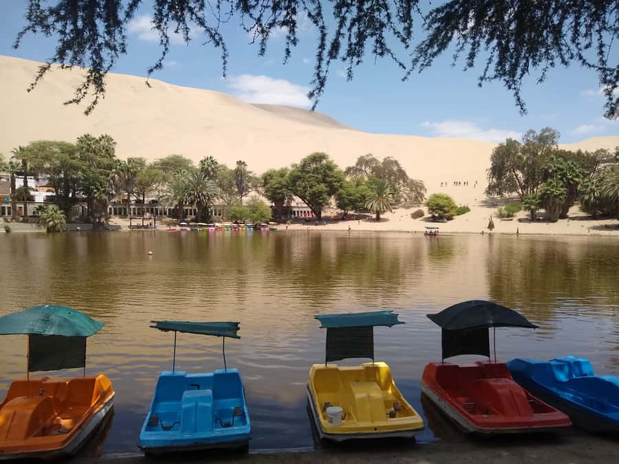 Lima: Ballestas Islands, Huacachina Oasis & Nazca Lines Tour - Huacachina and the rush of the dunes