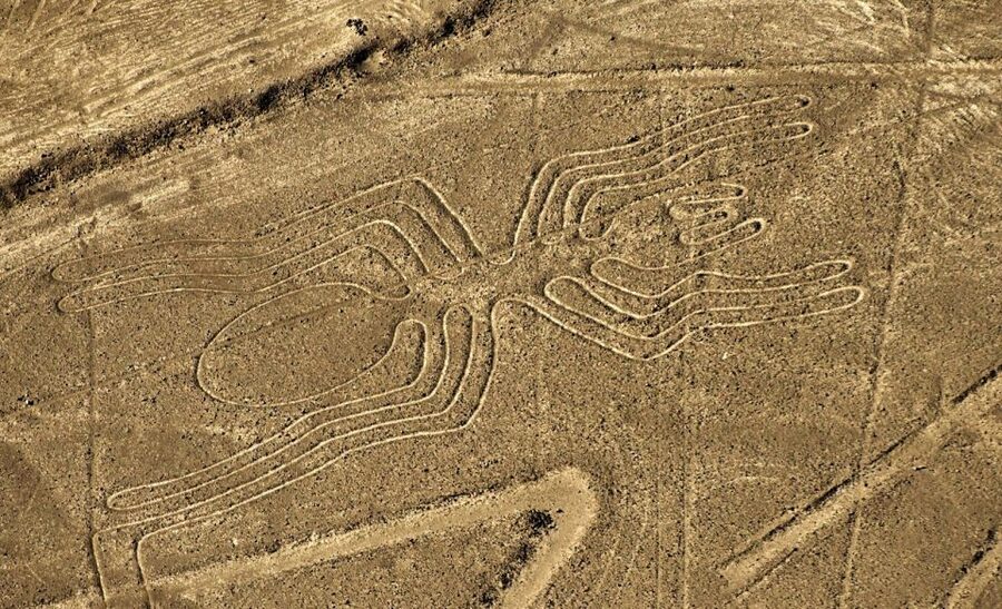 Lima: Ballestas Islands, Huacachina Oasis & Nazca Lines Tour - Transport, pickup, and language choices