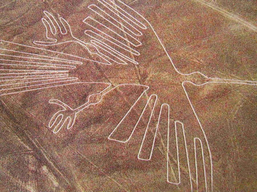 Lima: Ballestas Islands, Huacachina Oasis & Nazca Lines Tour - Ballestas Islands, Peru’s noisy little wildlife theater