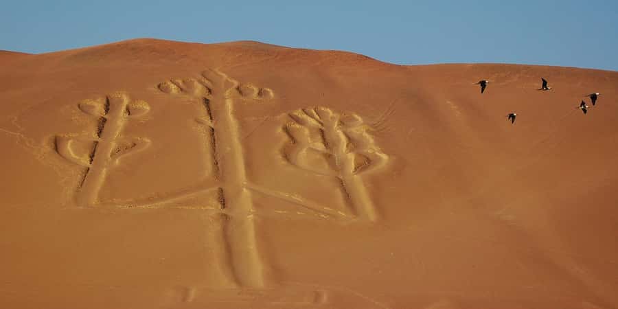 Lima: Ballestas Islands, Winery and Nazca Lines Private Tour - Key points at a glance