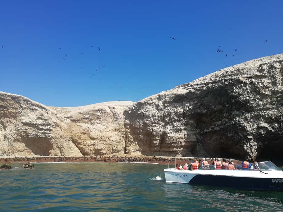 Lima: Ballestas Islands, Winery and Nazca Lines Private Tour - Paracas National Reserve and the coastal scenery