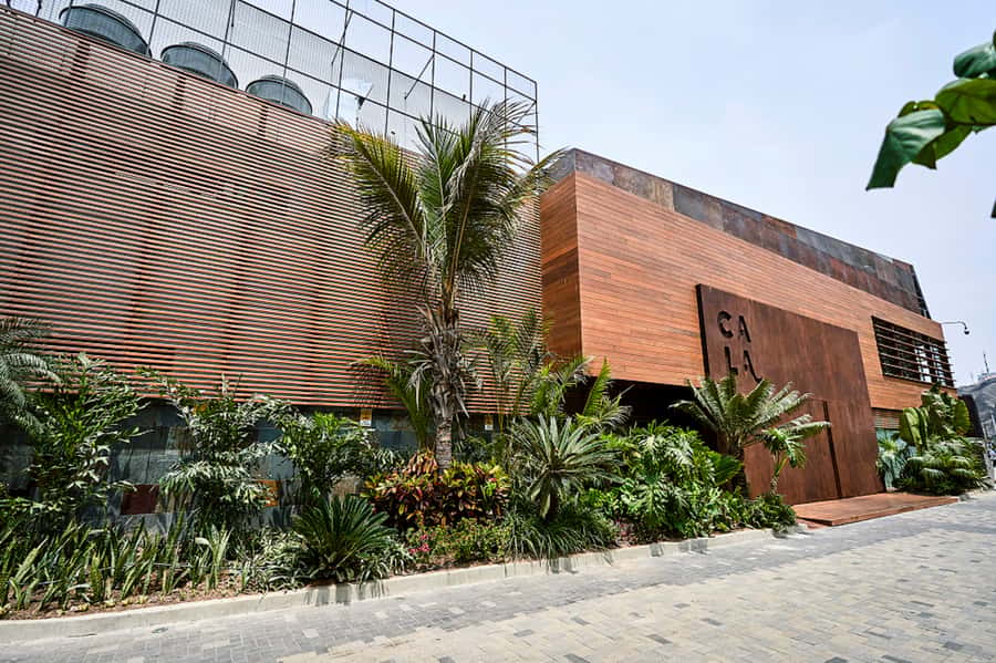 Lima: Demo Cooking Class with Lunch at Cala Restaurant - Lunch on the first-level terrace