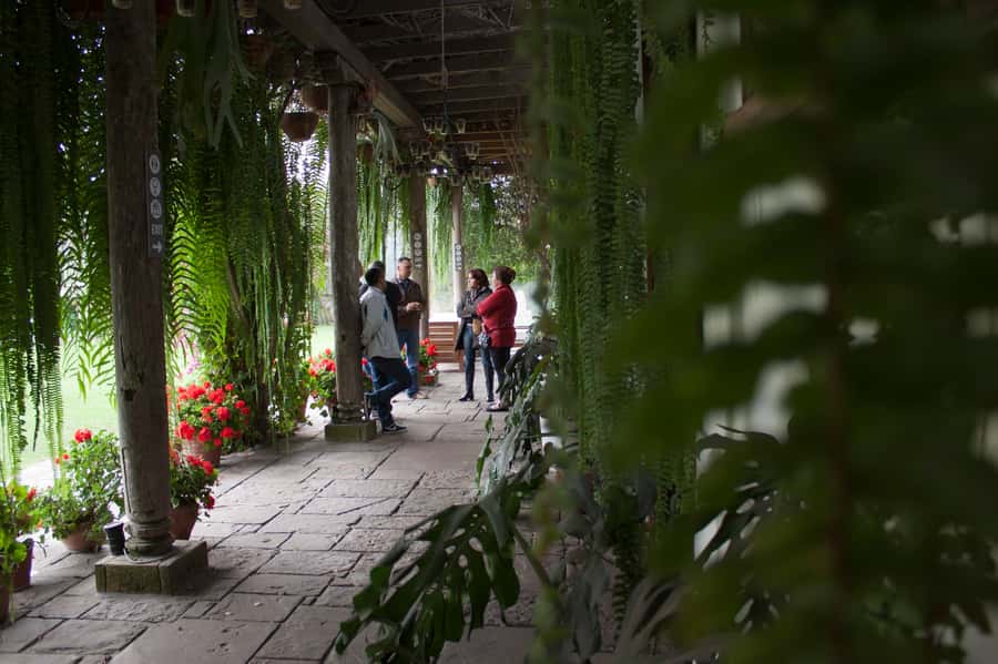 Lima: Half-Day Colonial Lima and Larco Museum Tour - Who Should Book This Lima Tour?