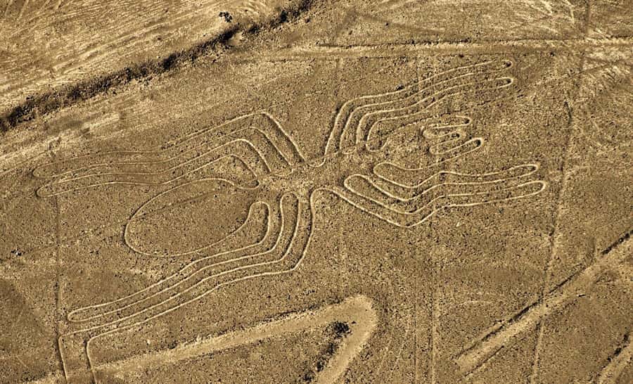 Lima: Huacachina, Winery, & Nazca Lines from Pisco Airport - Key points to know before booking