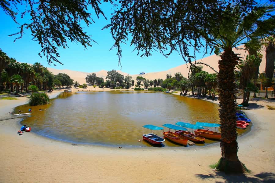 Lima: Huacachina, Winery, & Nazca Lines from Pisco Airport - My booking advice