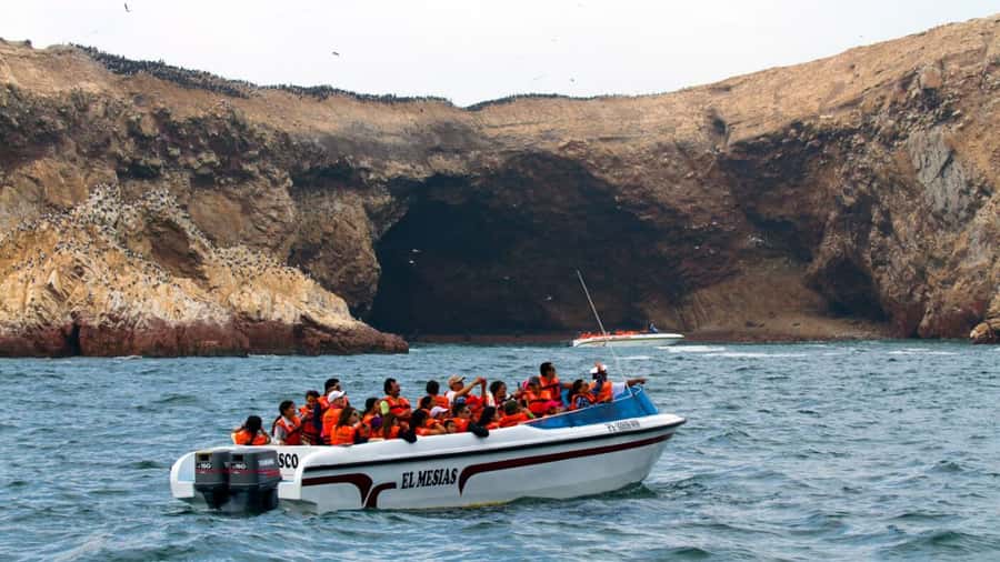 Lima | Islas Palomino Tour | Swim with Sea Lions - Palomino Island and the Open-Water Encounter