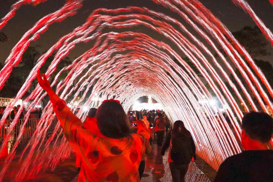 Lima: Magic Water Circuit Tour w/ Transfer & Ticket - Should you book the Magic Water Circuit tour?